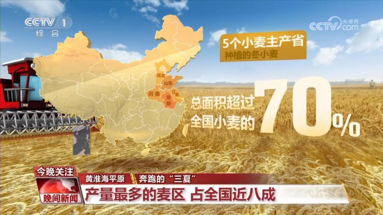 中国丰收地图：风吹麦浪的盛夏